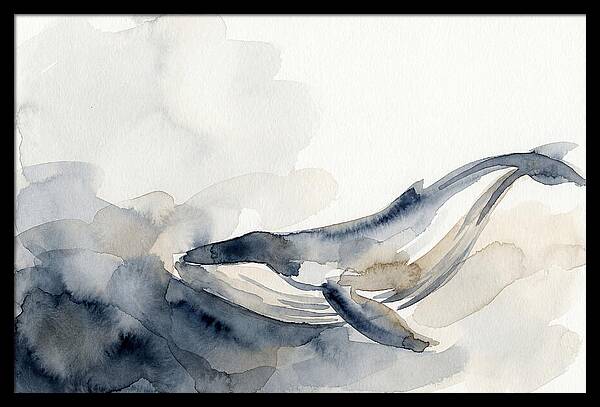 Whale Swimming Through Water
