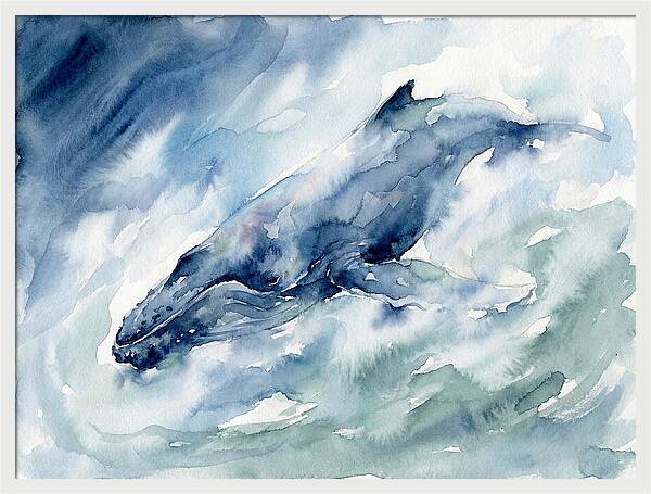 Whale Swimming Through Waves