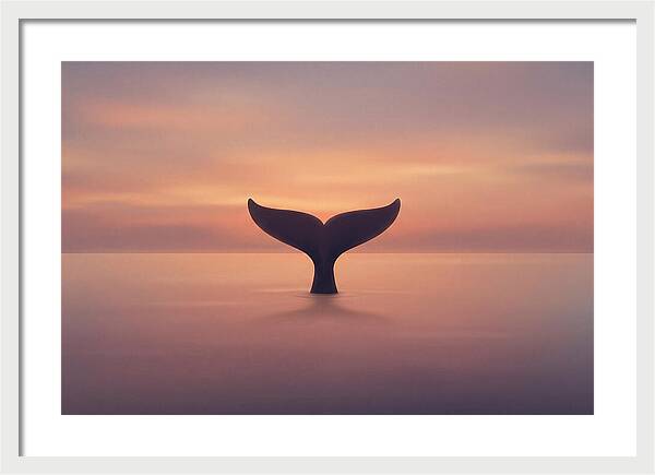 Whale Tail Against Sunset Sky