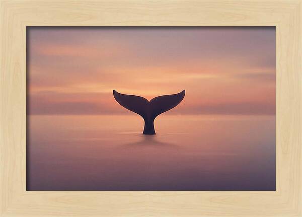 Whale Tail Against Sunset Sky