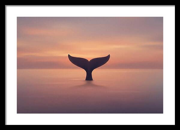 Whale Tail Against Sunset Sky