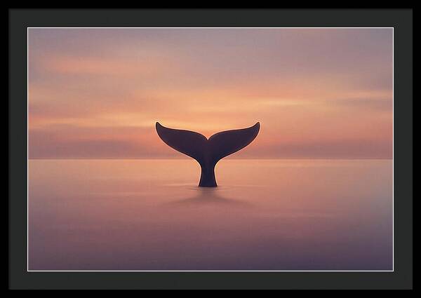 Whale Tail Against Sunset Sky