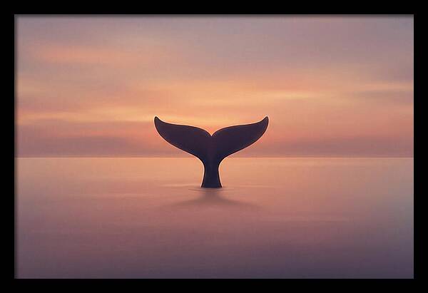 Whale Tail Against Sunset Sky