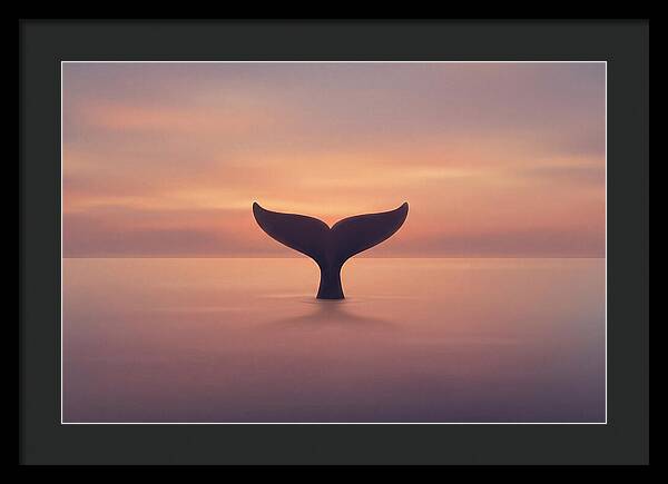 Whale Tail Against Sunset Sky