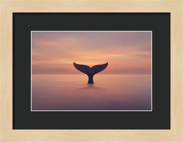Whale Tail Against Sunset Sky
