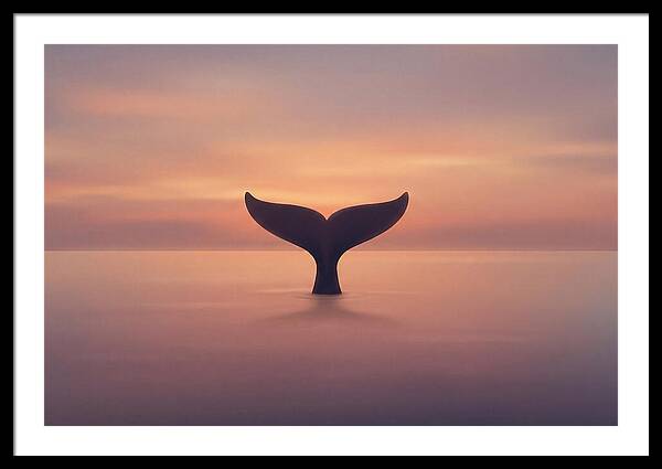 Whale Tail Against Sunset Sky