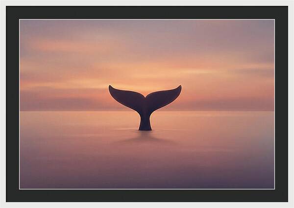 Whale Tail Against Sunset Sky