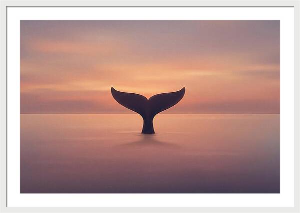 Whale Tail Against Sunset Sky