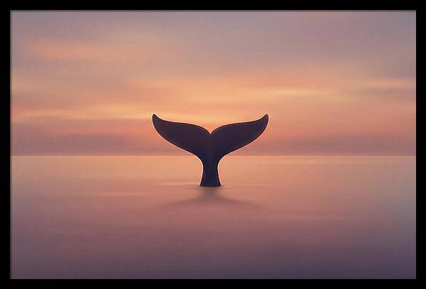 Whale Tail Against Sunset Sky