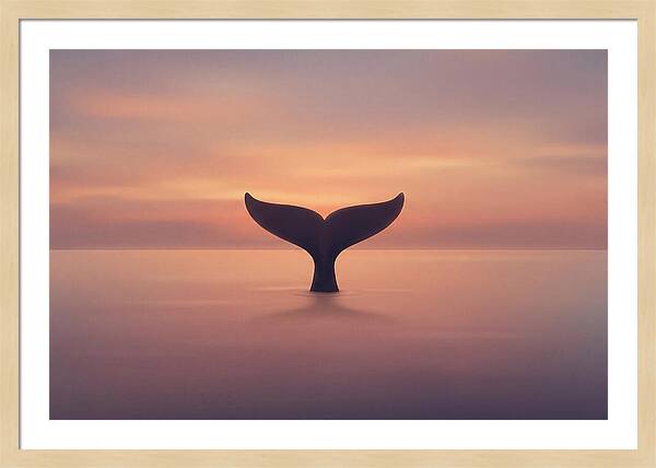 Whale Tail Against Sunset Sky