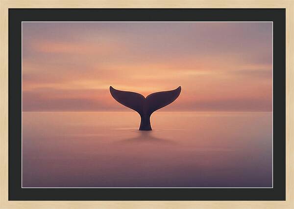Whale Tail Against Sunset Sky