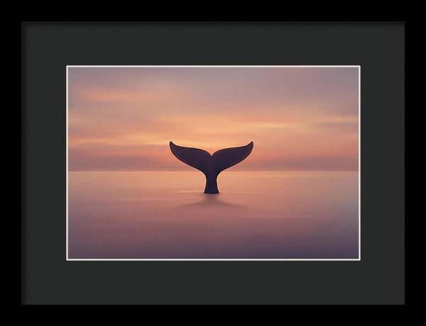 Whale Tail Against Sunset Sky