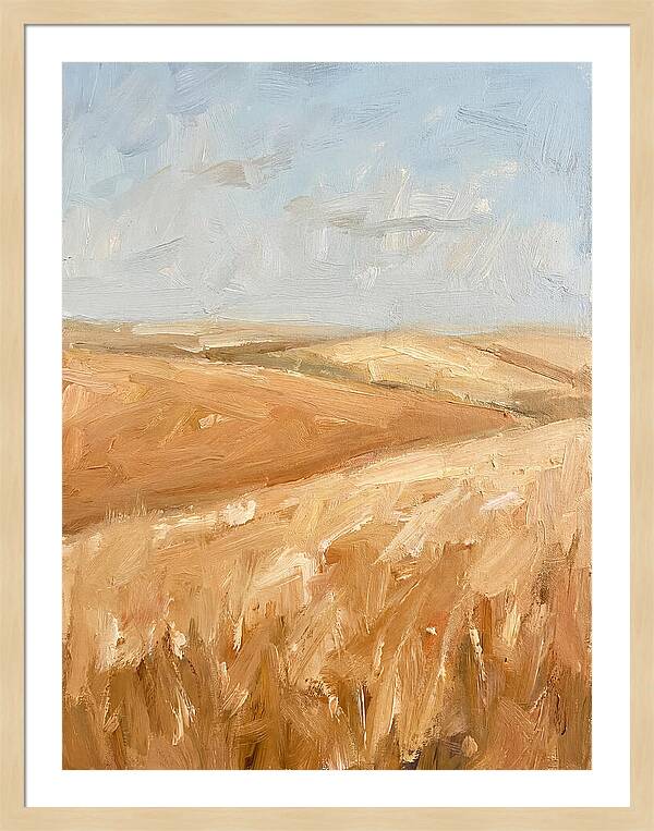 Wheat Fields Glowing Beneath Azure Sky