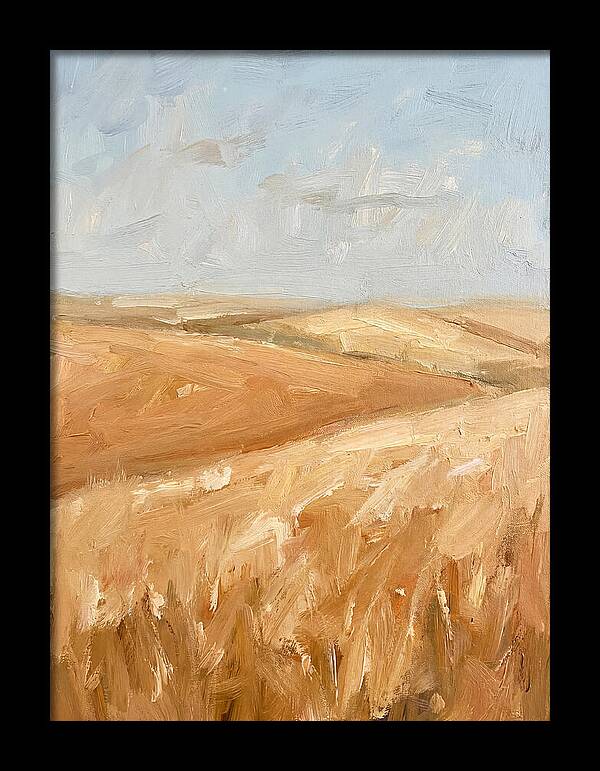 Wheat Fields Glowing Beneath Azure Sky