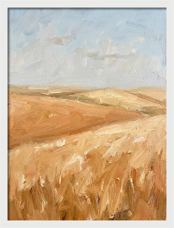 Wheat Fields Glowing Beneath Azure Sky