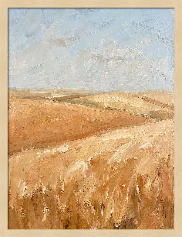 Wheat Fields Glowing Beneath Azure Sky