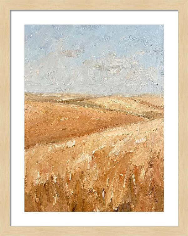 Wheat Fields Glowing Beneath Azure Sky