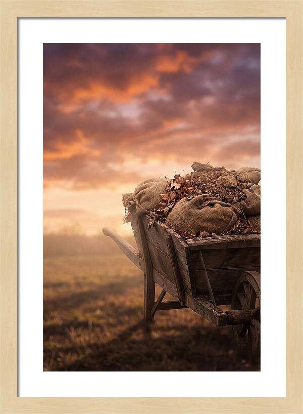 Wheelbarrow At Sunset