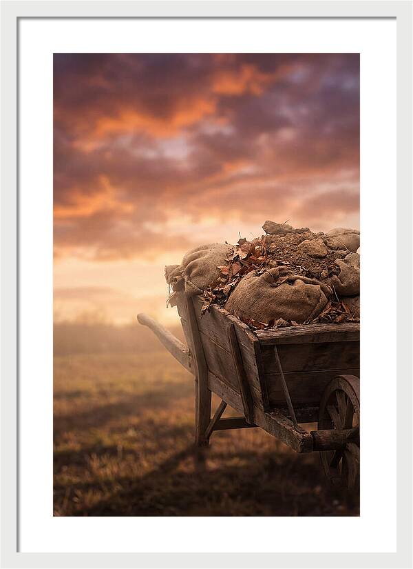 Wheelbarrow At Sunset
