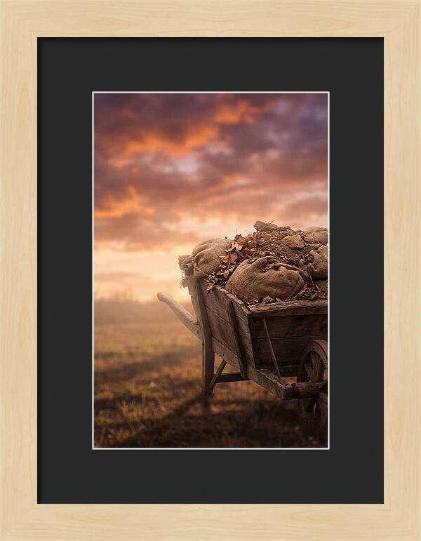 Wheelbarrow At Sunset