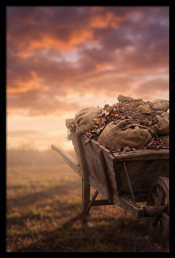 Wheelbarrow At Sunset