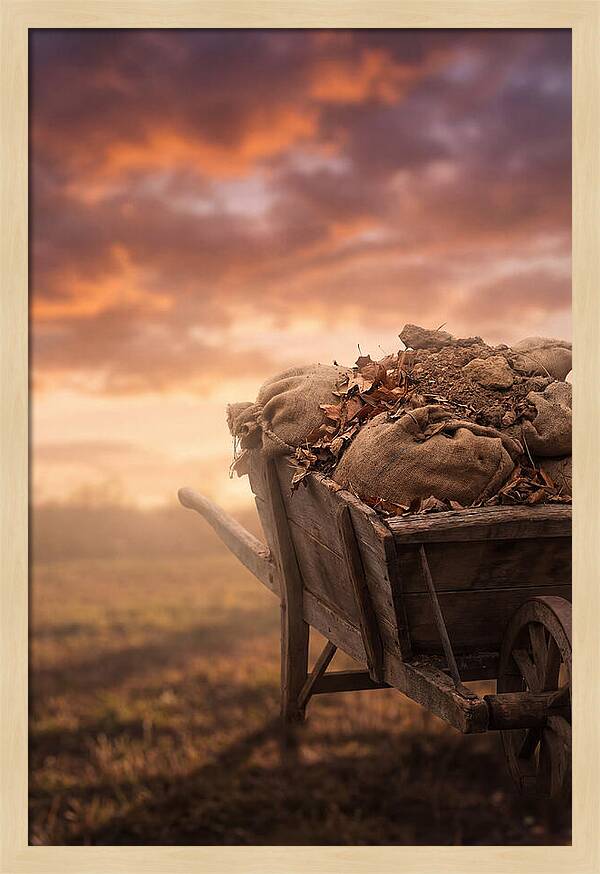 Wheelbarrow At Sunset