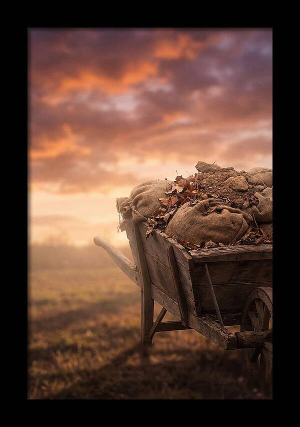 Wheelbarrow At Sunset