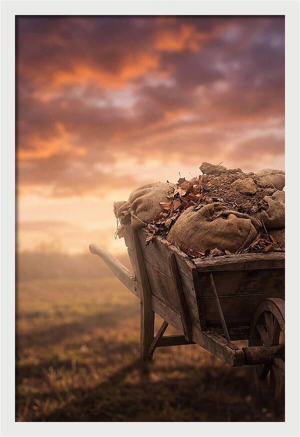 Wheelbarrow At Sunset