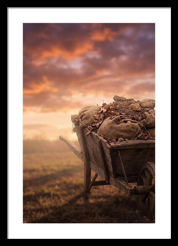 Wheelbarrow At Sunset