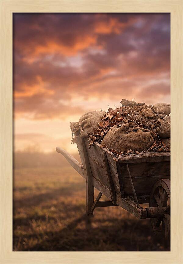 Wheelbarrow At Sunset