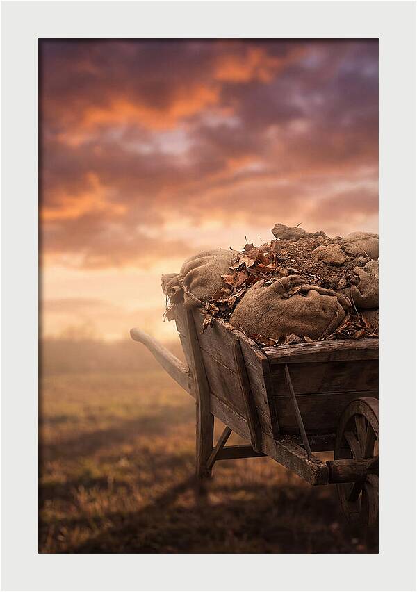 Wheelbarrow At Sunset