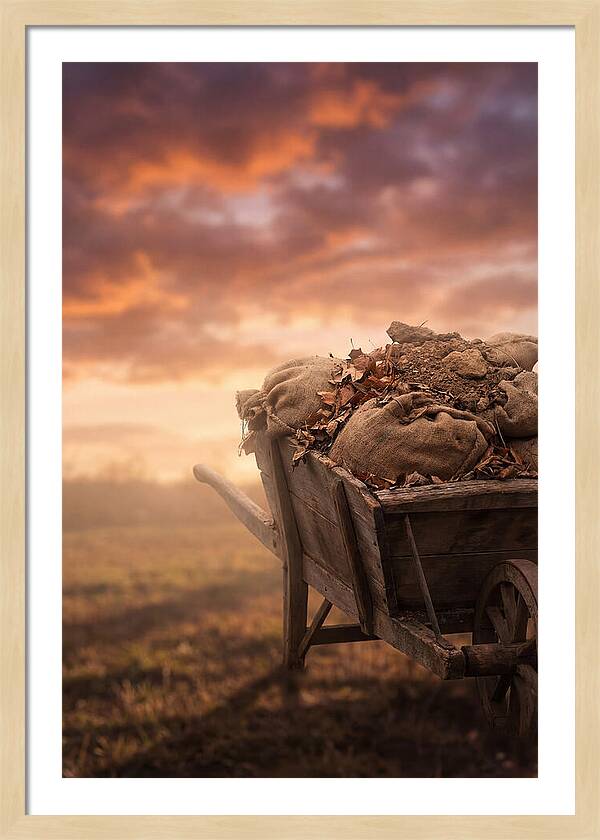 Wheelbarrow At Sunset