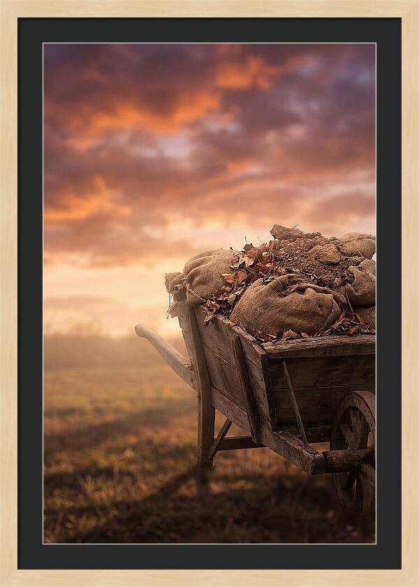 Wheelbarrow At Sunset