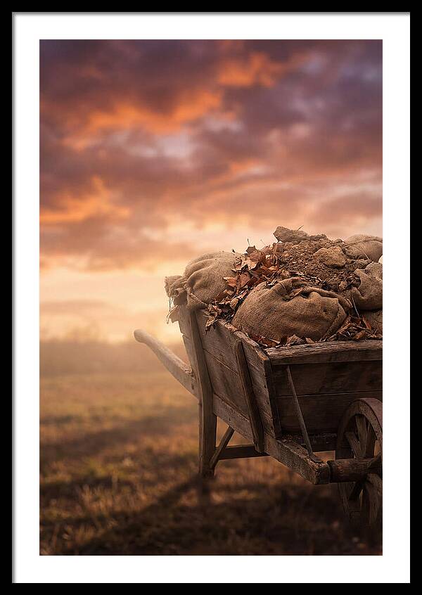 Wheelbarrow At Sunset