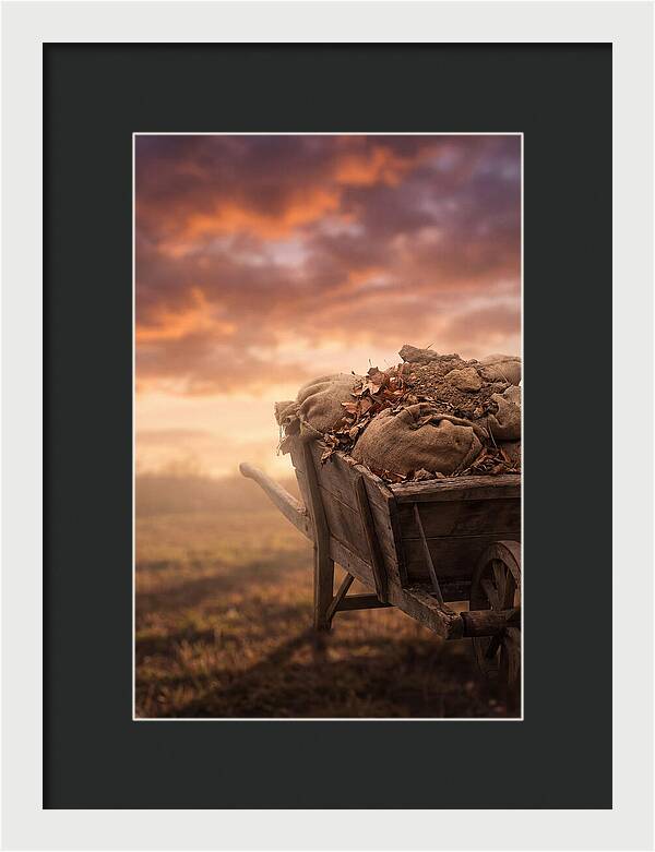 Wheelbarrow At Sunset