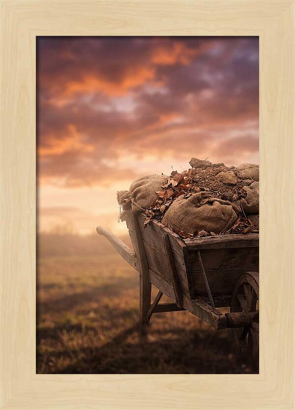 Wheelbarrow At Sunset
