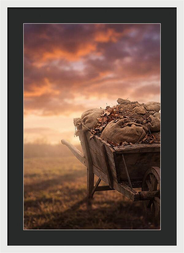 Wheelbarrow At Sunset
