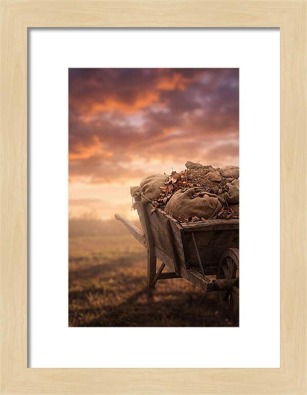 Wheelbarrow At Sunset