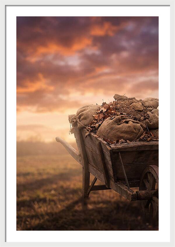 Wheelbarrow At Sunset