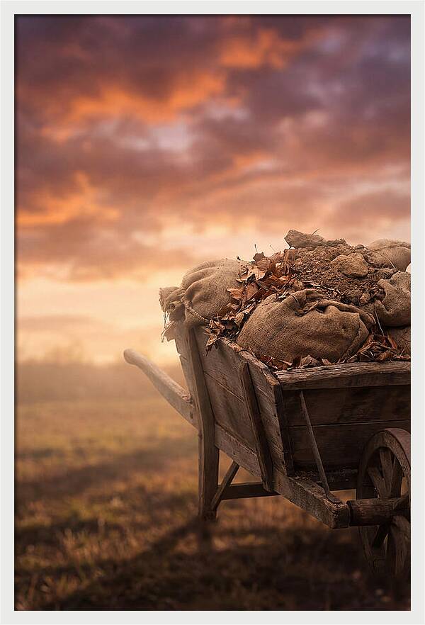 Wheelbarrow At Sunset