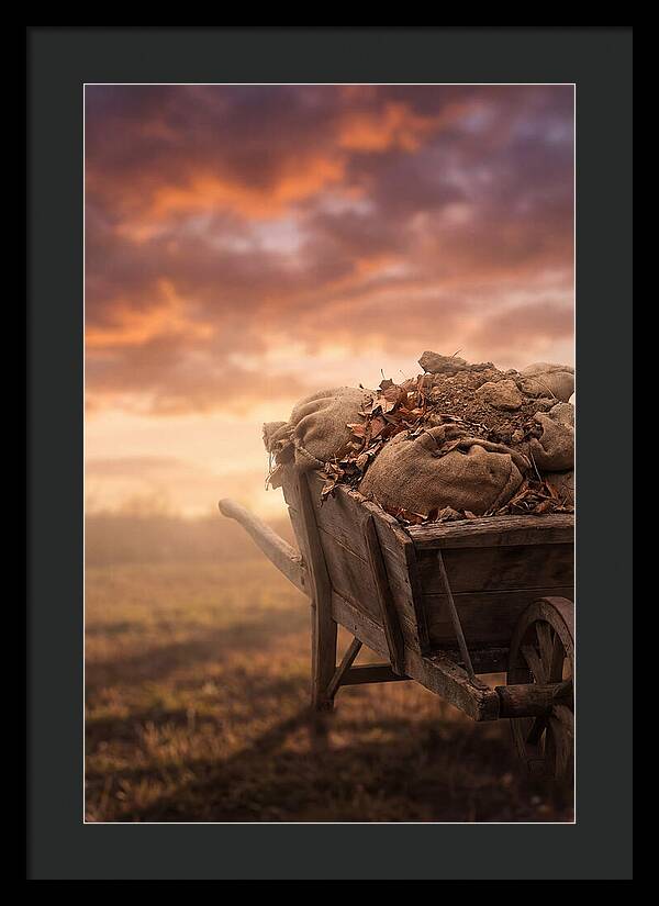 Wheelbarrow At Sunset