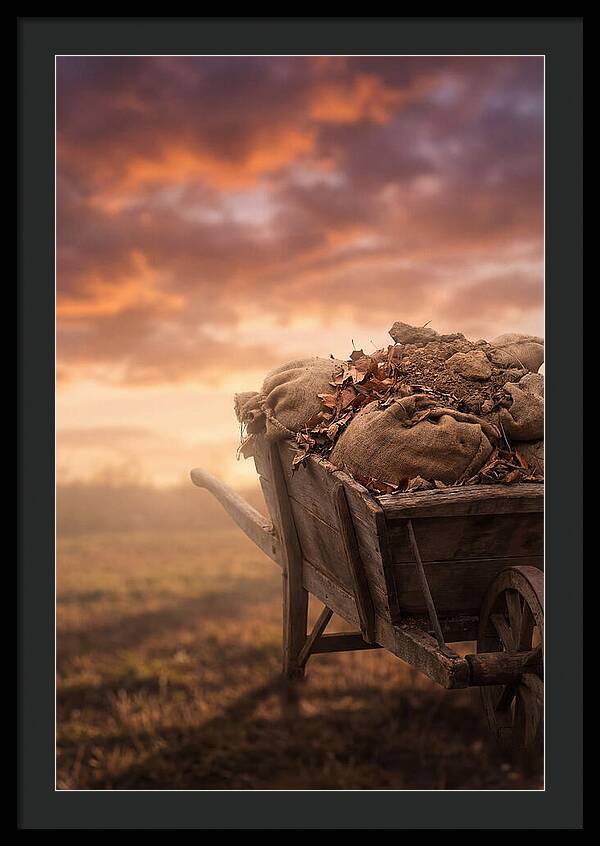 Wheelbarrow At Sunset