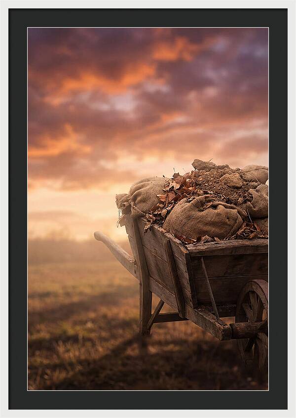 Wheelbarrow At Sunset