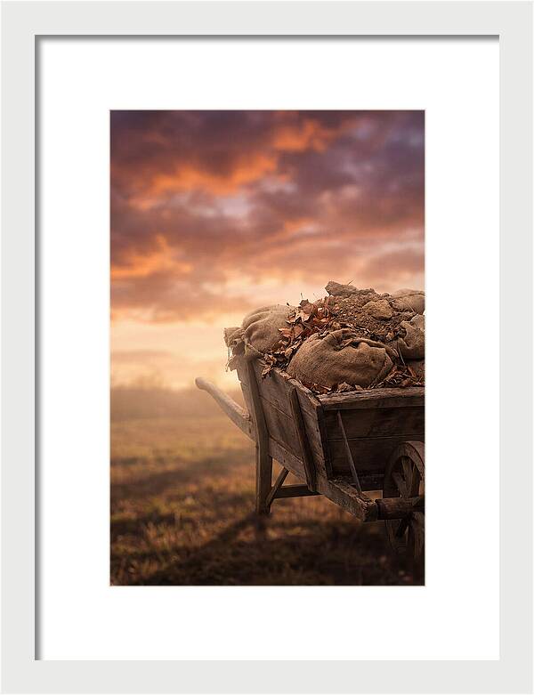 Wheelbarrow At Sunset