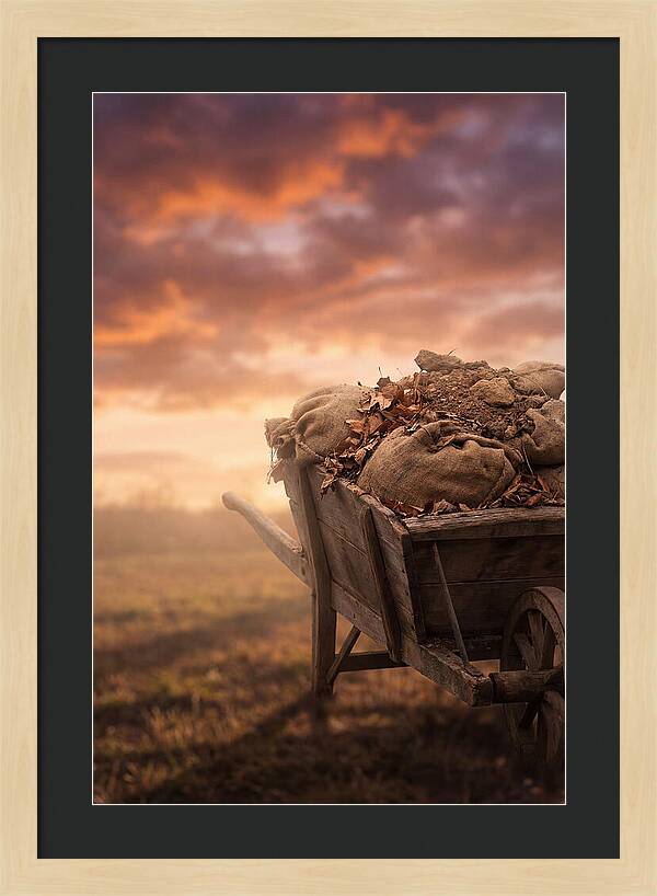 Wheelbarrow At Sunset
