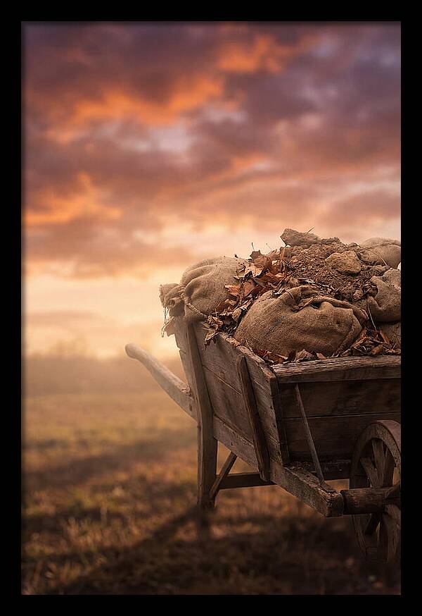 Wheelbarrow At Sunset