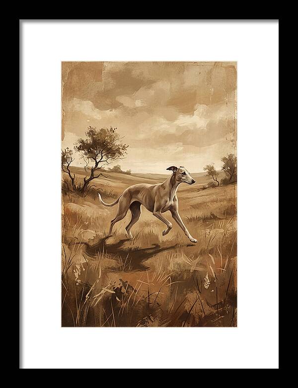 Whippet Running Gracefully Through Fields