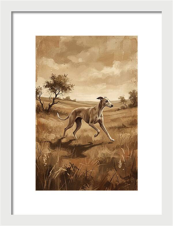 Whippet Running Gracefully Through Fields