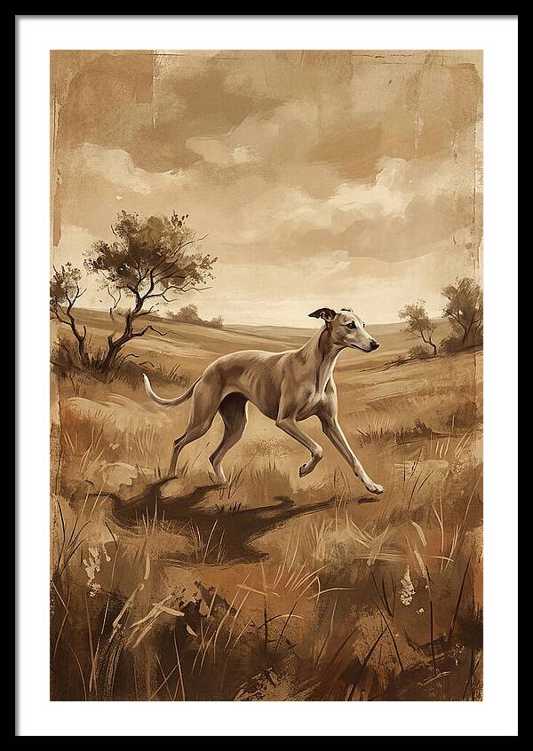 Whippet Running Gracefully Through Fields