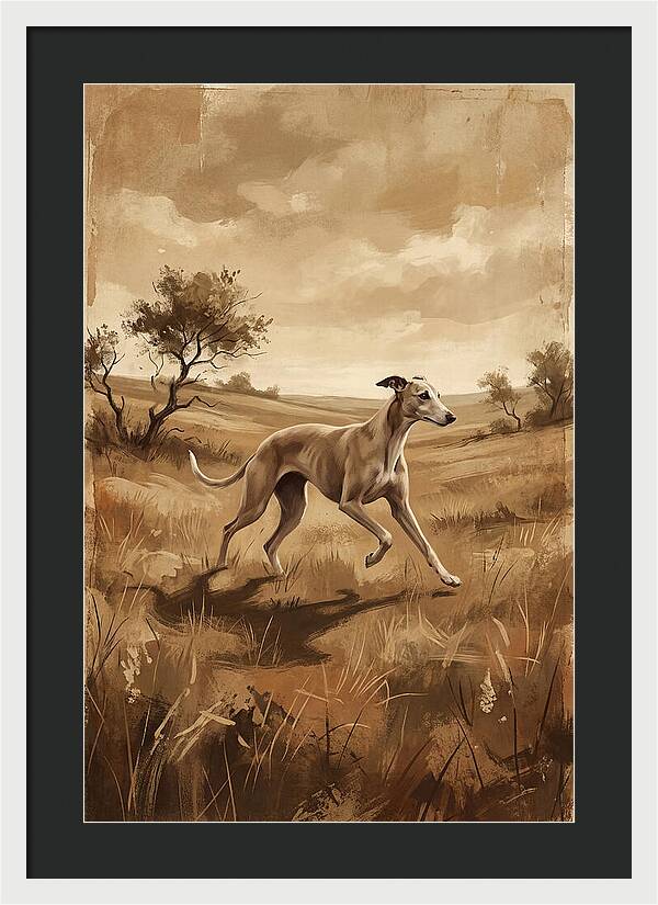 Whippet Running Gracefully Through Fields